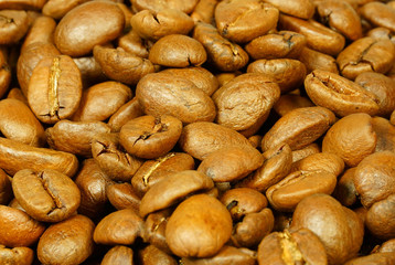 Brown coffee beans for background and texture