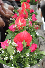 Flower In Tray