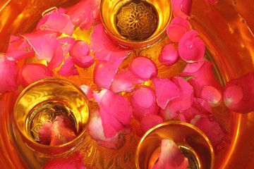 Rose Petals On Water