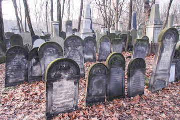 Warsaw Jewish Cemetery