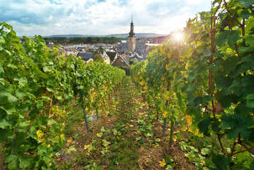 Fototapeta na wymiar View of Rüdesheim am Rhein. Rhine Valley, Germany.