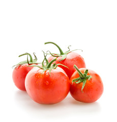 Tomato isolated on white