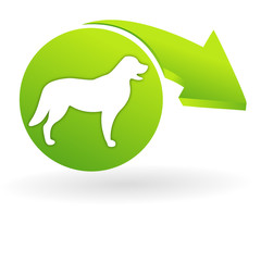 chien sur web symbole vert