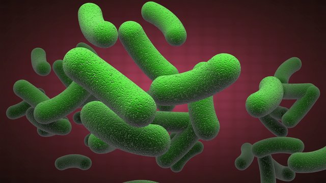 close up microbiology background. alpha matted