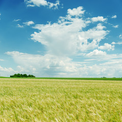 blue cloudy sky and green field