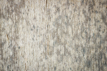 Fototapeta premium wood texture