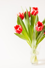 tulips bouquet in glass copy space