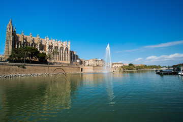 palma cathedral