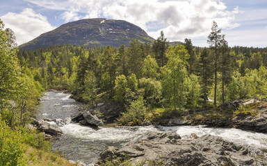 Raumafluss, Hageseter, Nationalpark, Sommer, Norwegen