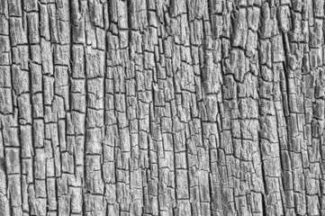 wood texture