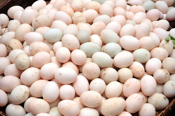 duck eggs