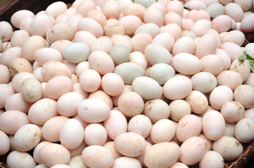 duck eggs