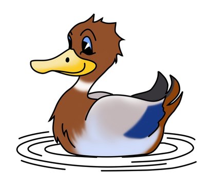 duck illustration