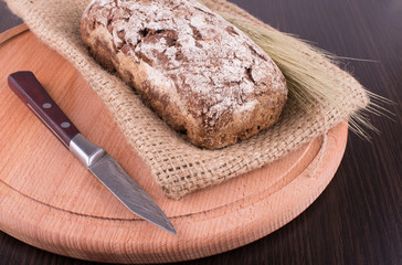 Bread rye spikelets