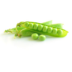 fresh green pea
