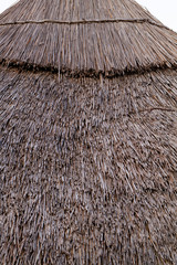 Rustic roof
