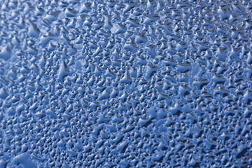 dew drops