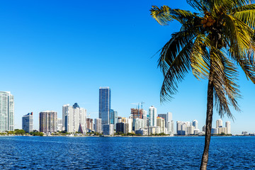 Fototapeta na wymiar Panoramę Miami Downtown