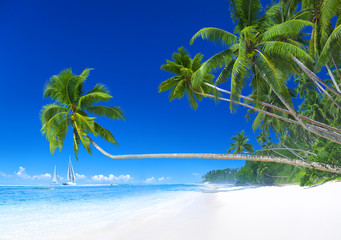 Tropical paradise with sailboat