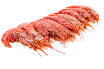 prawns isolated on white