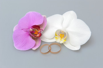 Fototapeta na wymiar Wedding rings with orchid flowers on gray