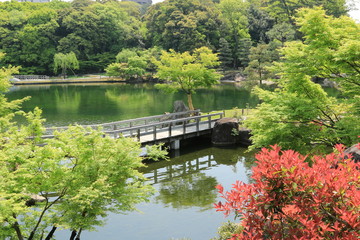 Obraz premium 徳川庭園