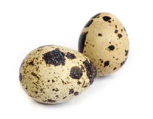 Obraz premium quail eggs,