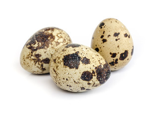 quail eggs,