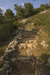 Fototapeta na wymiar Escalera de piedras 1
