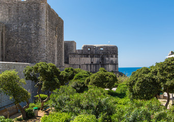 Greenery Around Dubrovnik Wall