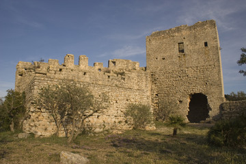 Fototapeta na wymiar Torre del Castillo 3
