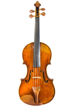 Violin isolated