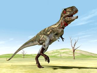Dinosaur Nanotyrannus