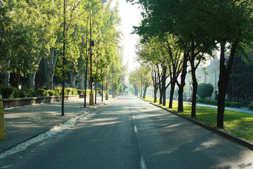 Shafarikova street Trnava