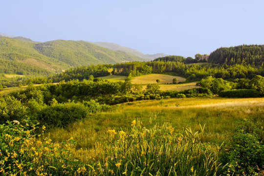 arezzo colli senesi