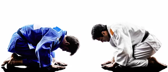 Photo sur Plexiglas Arts martiaux judokas combattants combat hommes silhouettes