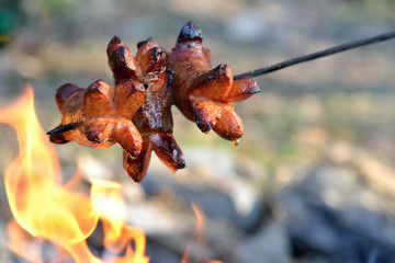 Roasting sausages over a fire