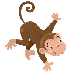 Little funny monkey