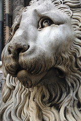 Genova Cathedral Lion. Italy, Europe