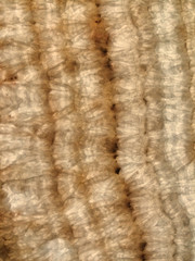 Onyx marble texture (High. Res.)