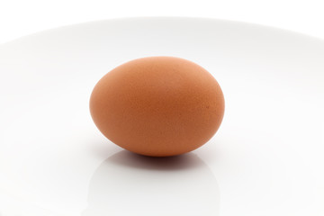 Egg