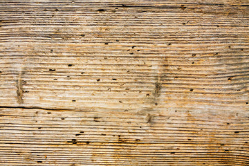 Old wood texture as vintage background