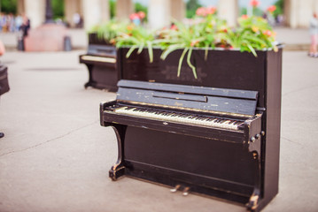The piano in the Park