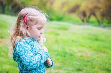 Adorable little girl blowing off dandelion