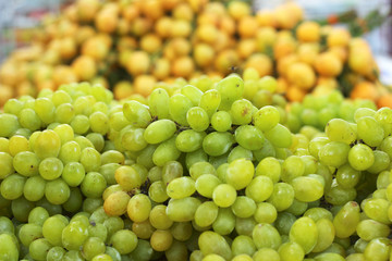 Fresh grapes on the market