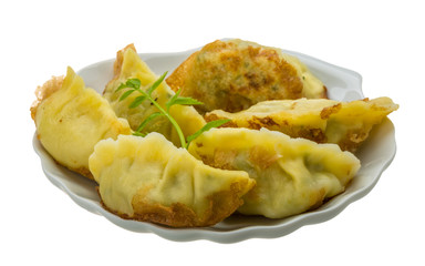 Japan dumplings - gyoza