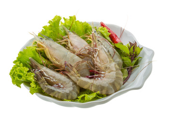 Raw tiger shrimps
