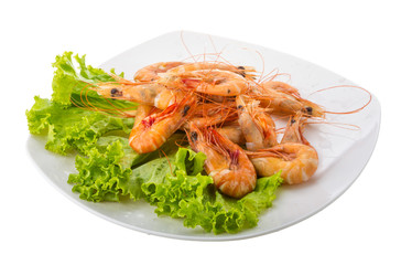 Big tiger shrimps