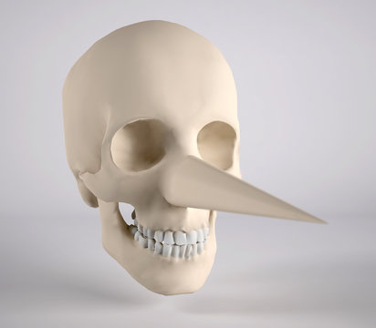 human skull with big nose