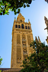 Fototapeta na wymiar Tower Giralda, Cathedral of Sevilla